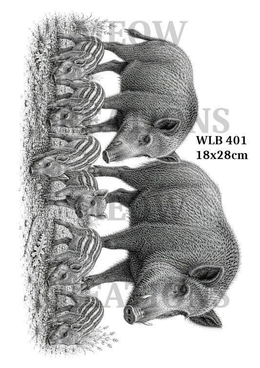 WLB 401