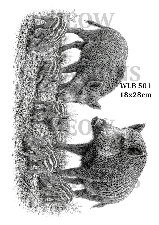 WLB 501