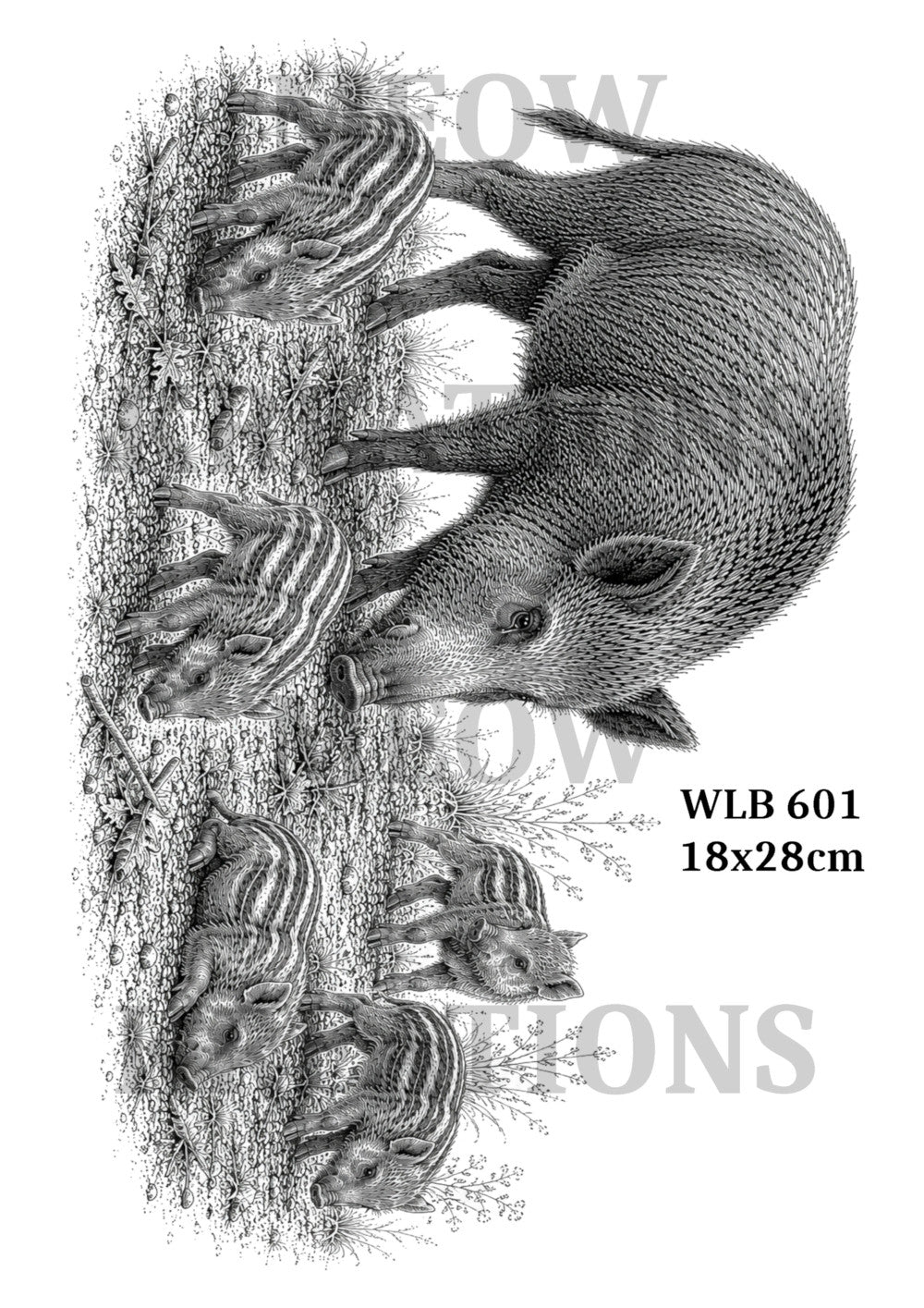 WLB 601