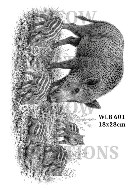 WLB 601