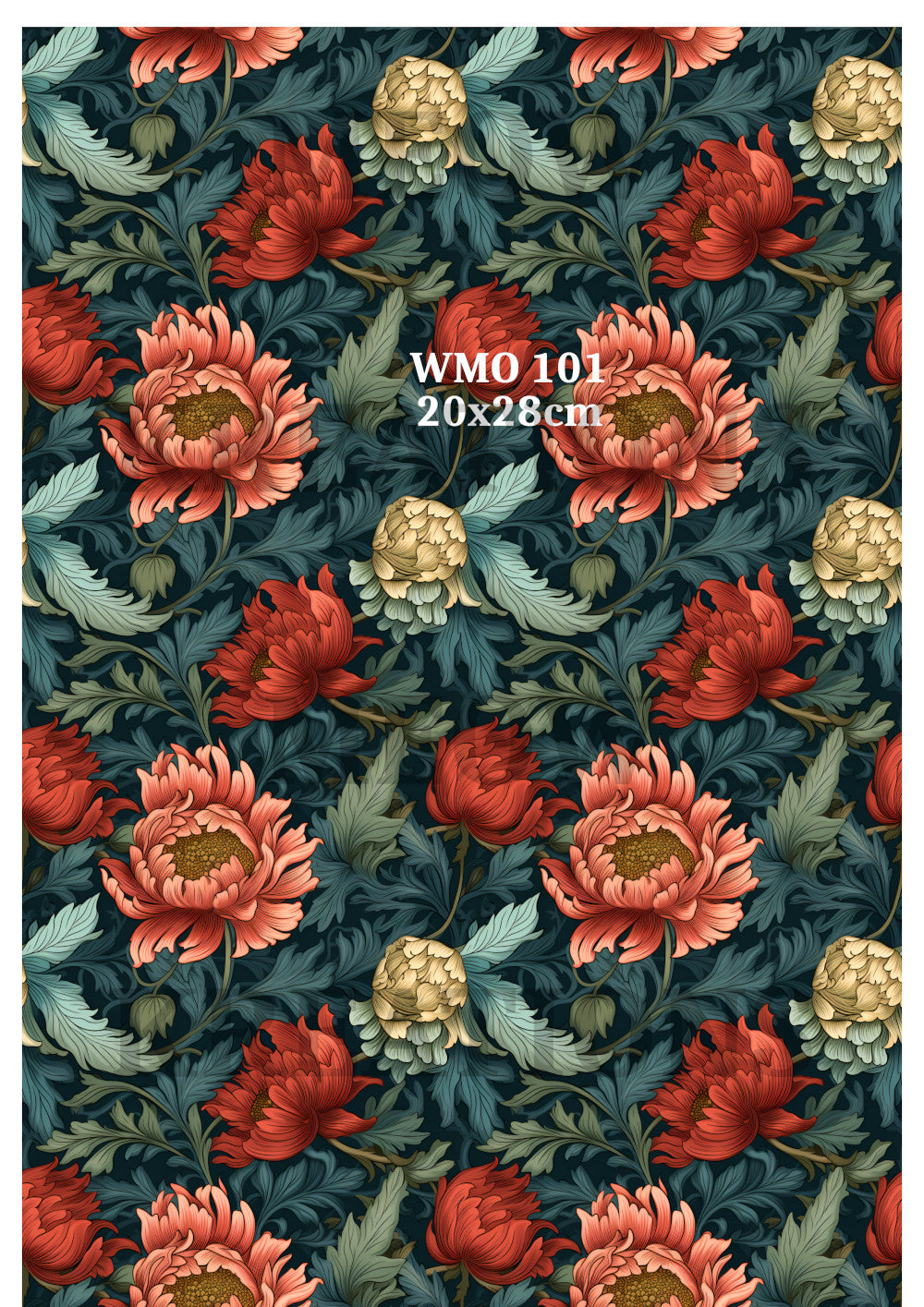 WMO 101