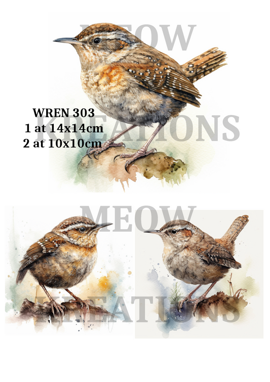 Wren 303