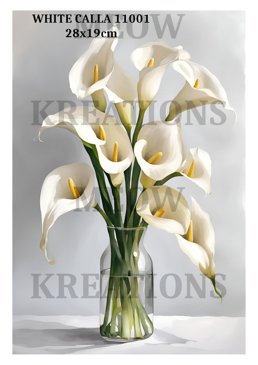 WHITE CALLA 11001