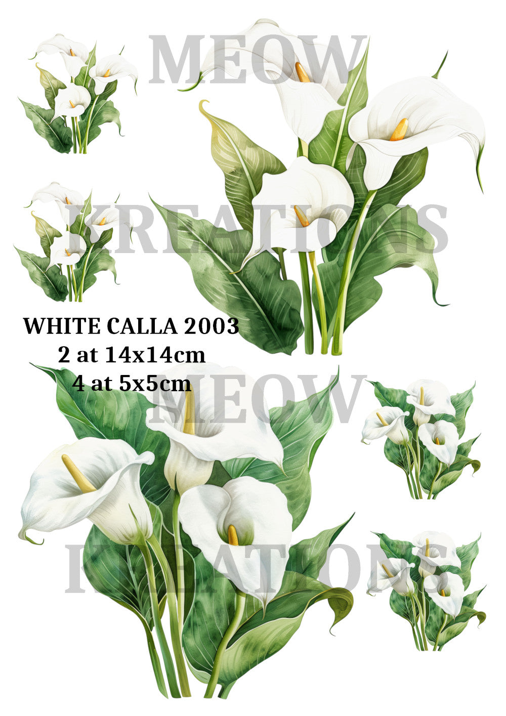 WHITE CALLA 2003