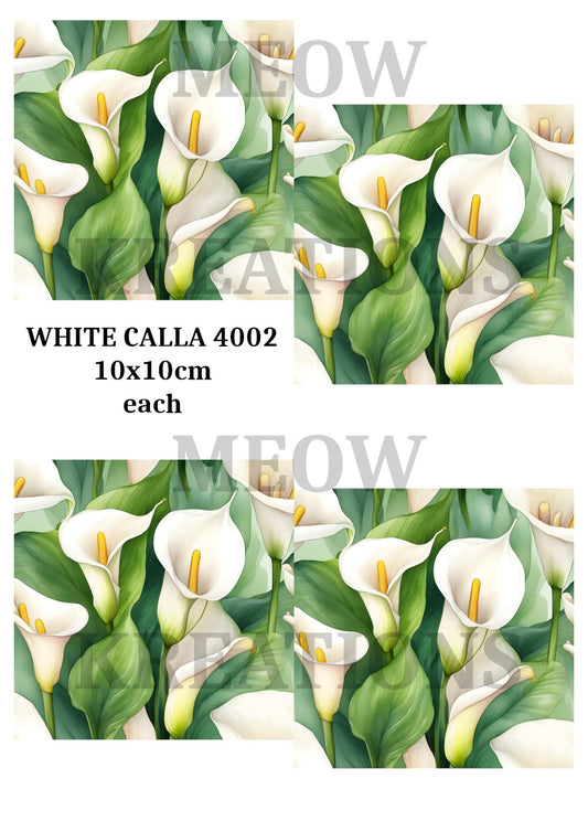 WHITE CALLA 4002