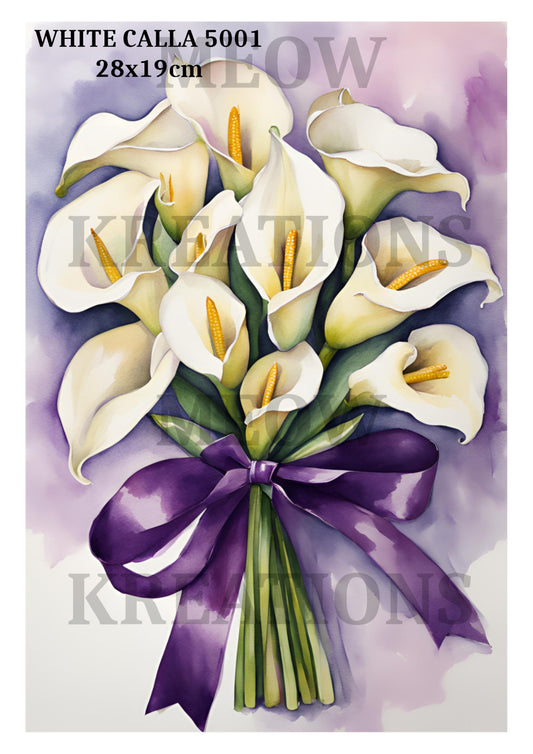 WHITE CALLA 5001