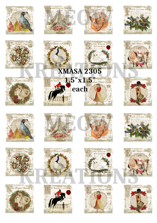 XMASA 2305