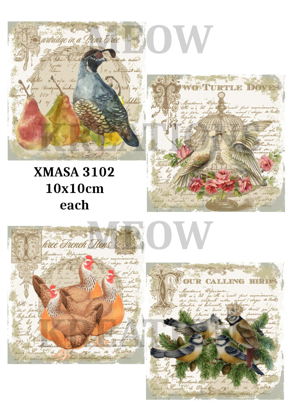 XMASA 3102