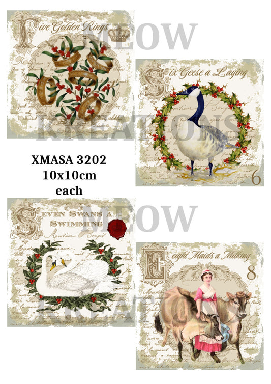 XMASA 3202