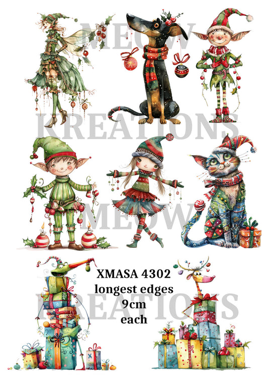 XMASA 4302