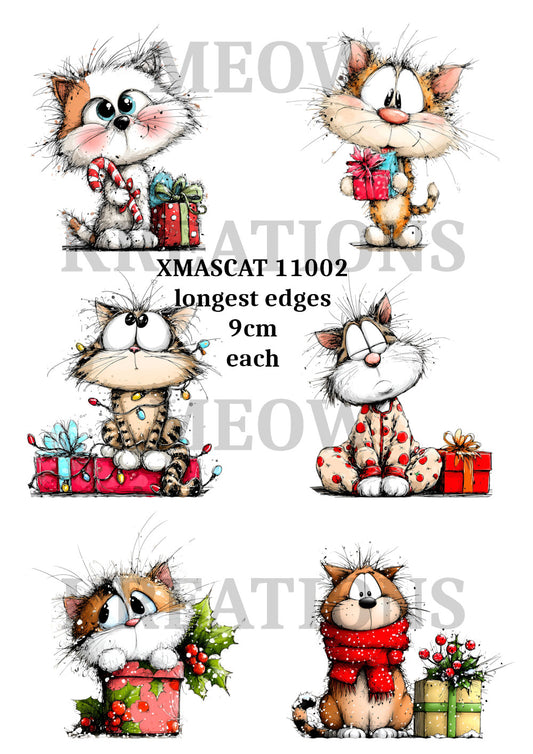 XMASCAT 11002