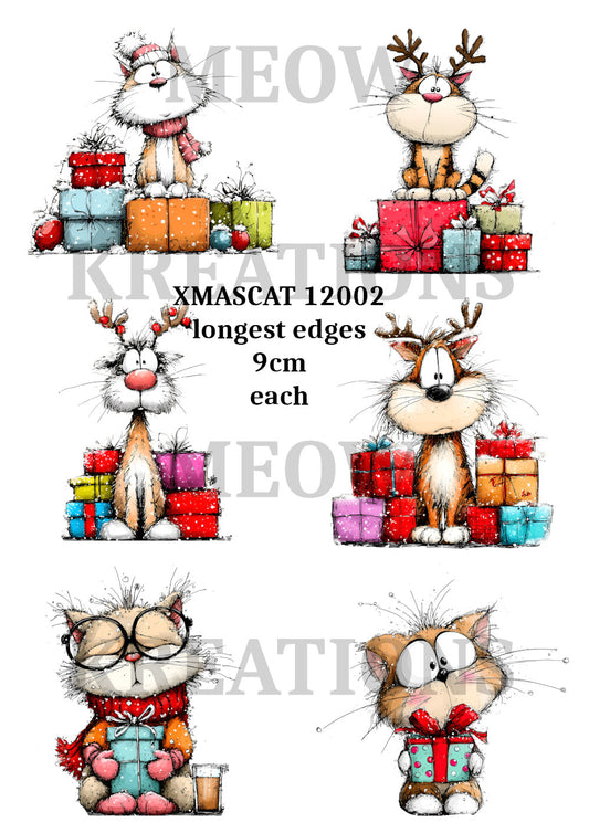 XMASCAT 12002