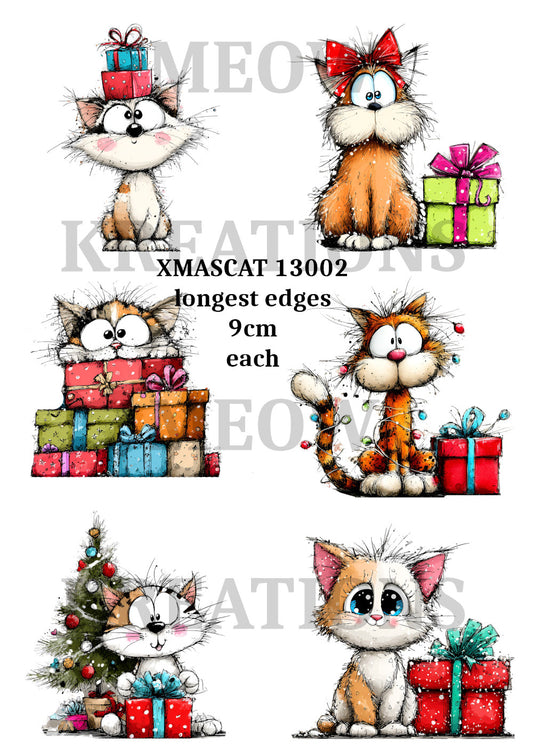 XMASCAT 13002