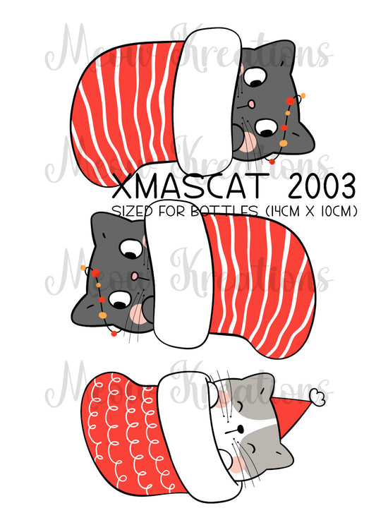 XMASCAT 2003