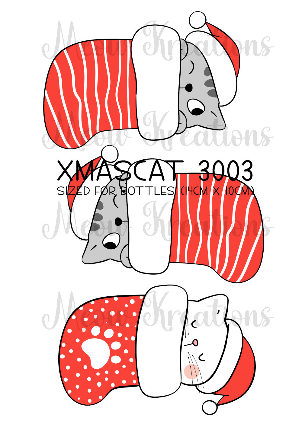 XMASCAT 3003