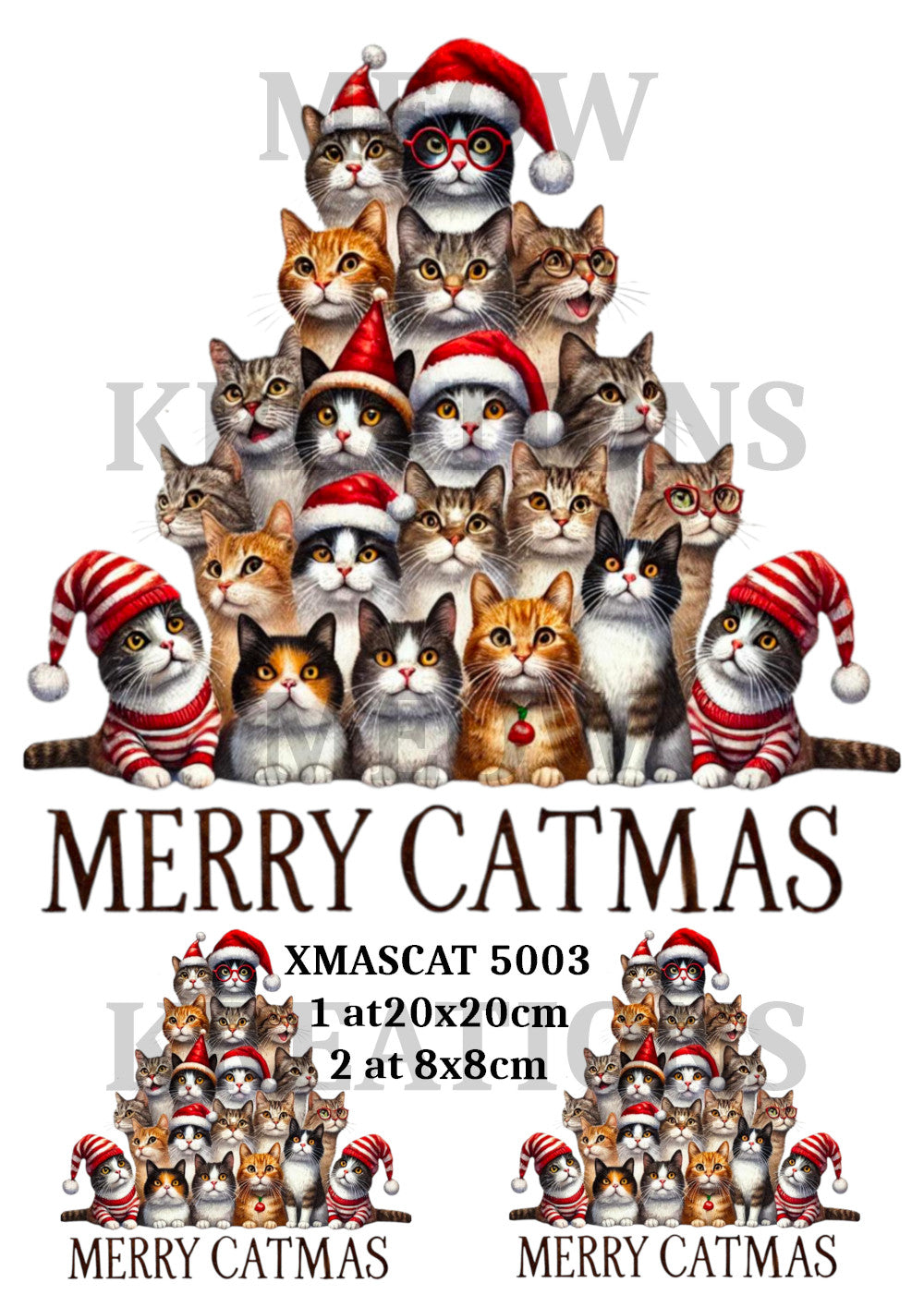 XMASCAT 5001