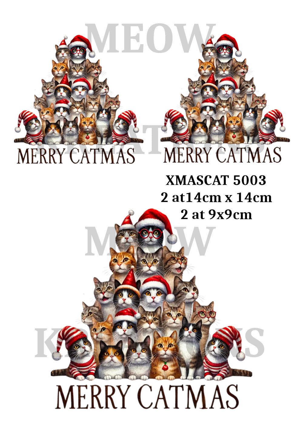 XMASCAT 5003