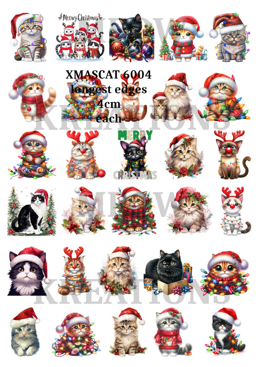 XMASCAT 6004