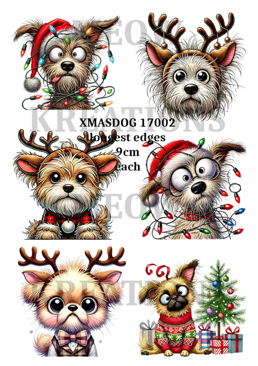 XMASDOG 17002
