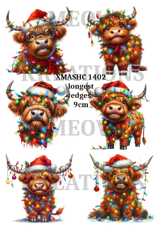 XMASHC 1402