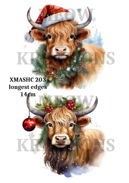 XMASHC 203