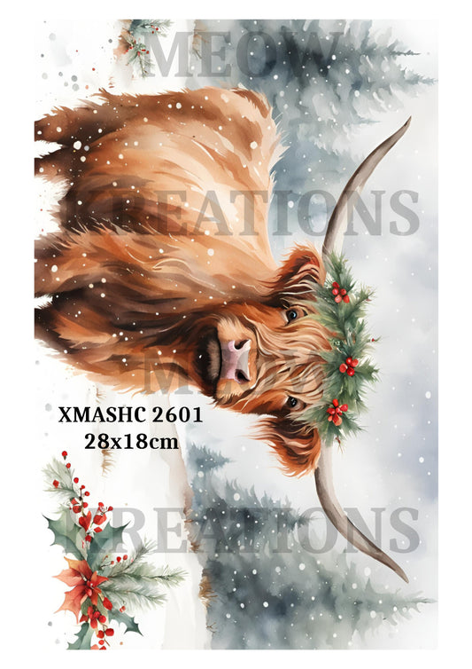 XMASHC 2601