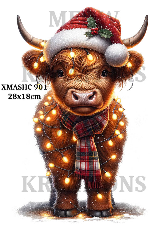 XMASHC 901