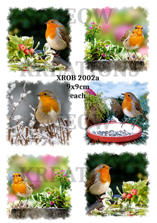 Robins in Nature Set of SixDecoupage Rice Paper - XROB 2002a
