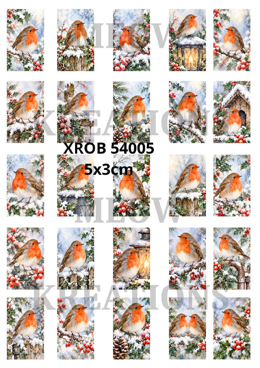 XROB13001
