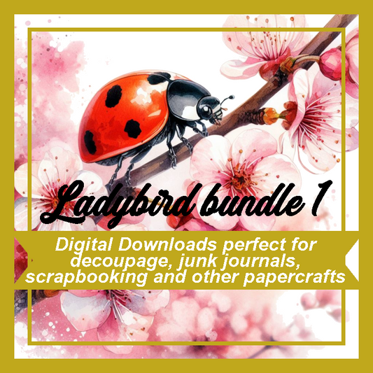 DD Ladybirds Bundle 1