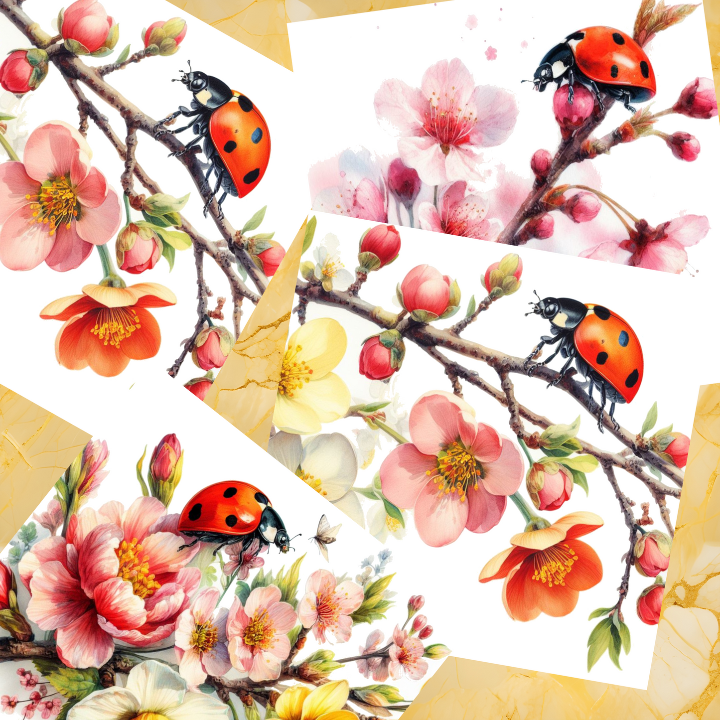 DD Ladybirds Bundle 1