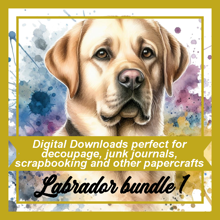 DD Labrador Bundle 1