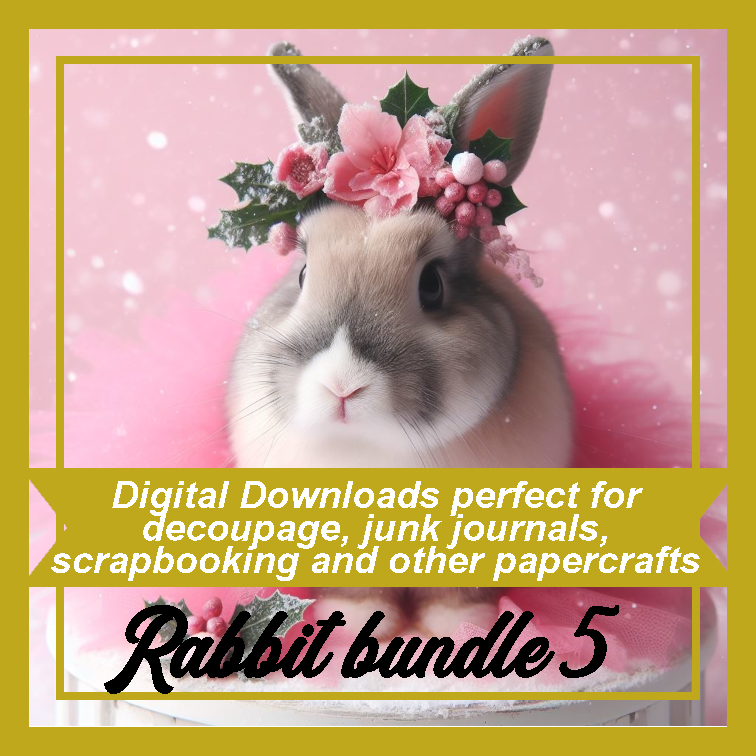 DD Rabbit Bundle 5