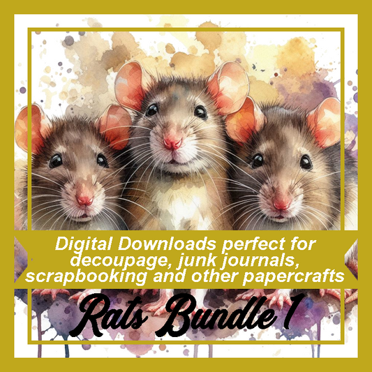 DD Rats Bundle 1