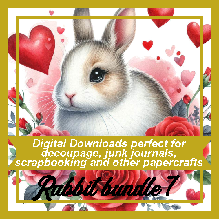 DD Rabbit Bundle 7