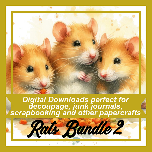 DD Rats Bundle 2