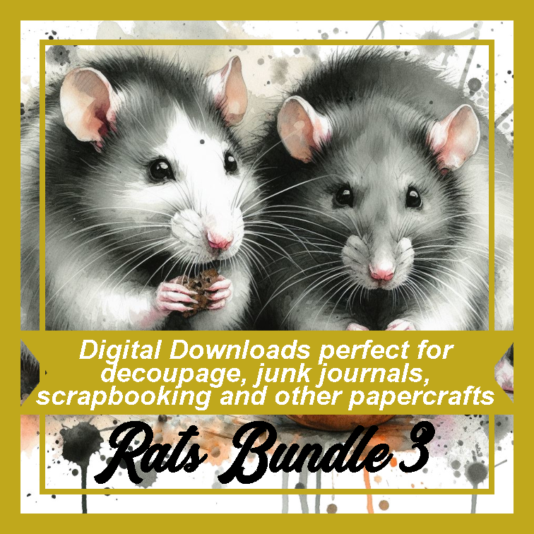 DD Rats Bundle 3