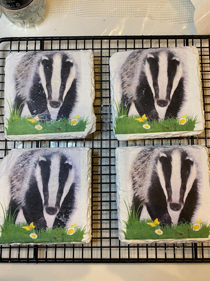 Badgers in Grass Decoupage Rice Paper – BG 2002