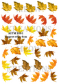 OTOÑO 2001
