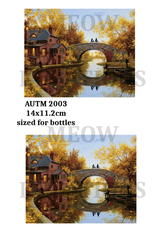 AUTM 2003