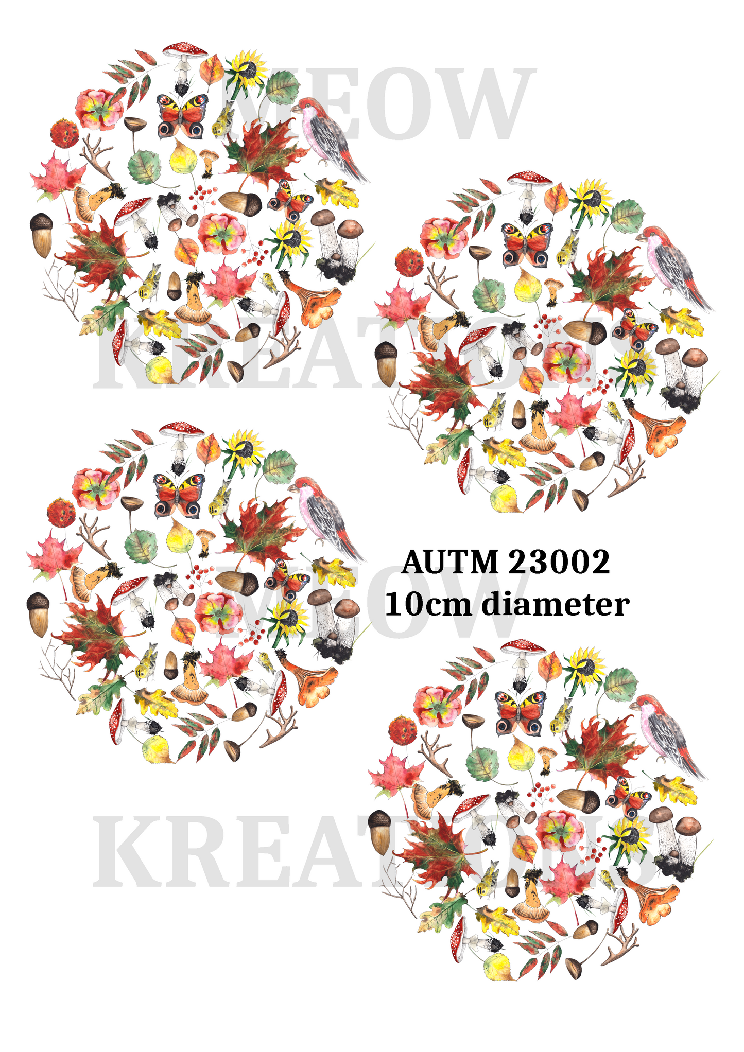 AUTM 23002