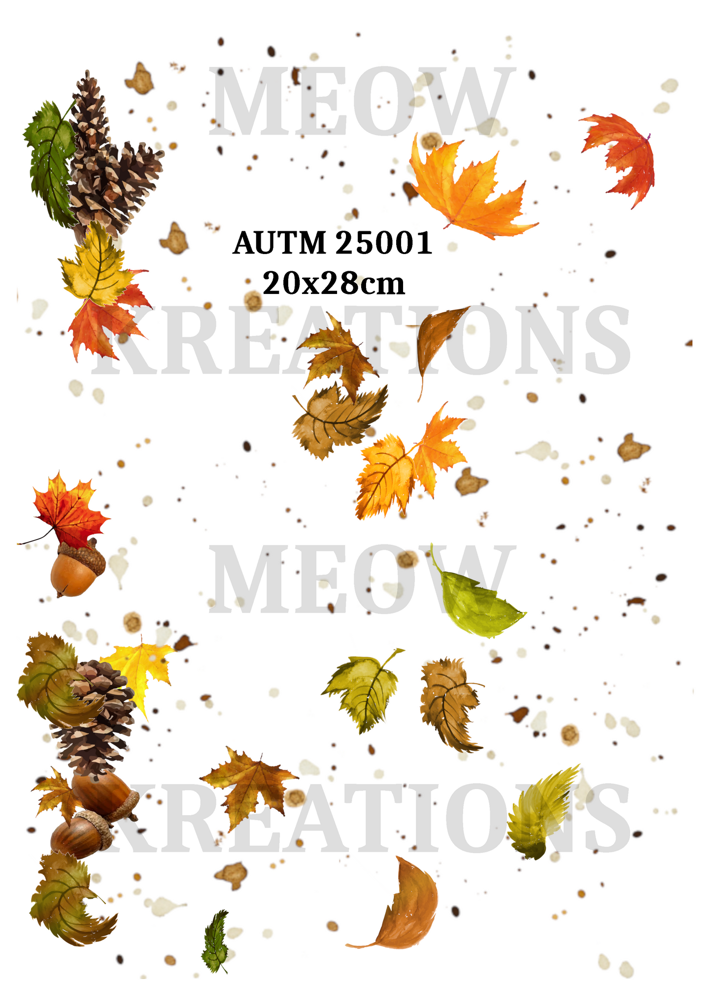 AUTM 25001