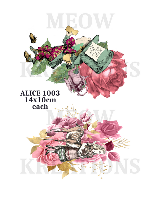Alice 1003