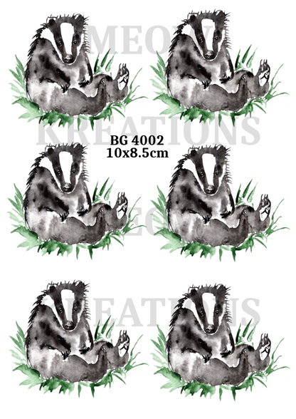 BG4002