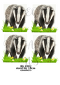 Badgers in Grass Decoupage Rice Paper – BG 2002