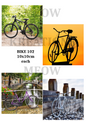 BICICLETA 102