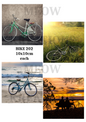 Decoupage Rice Paper – BIKE 202