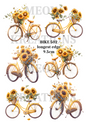 Decoupage Rice Paper – BIKE 502