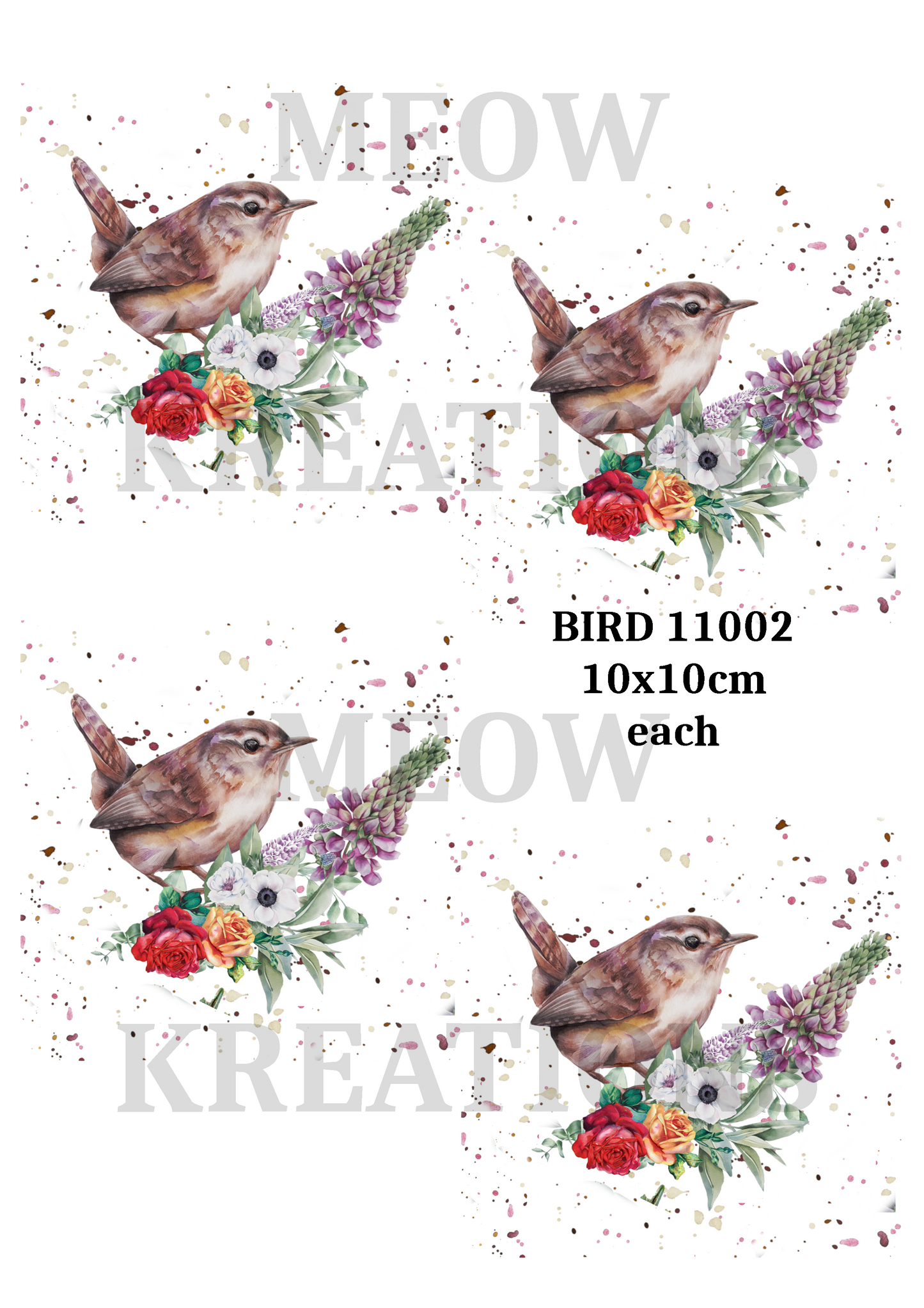 BIRD 11002