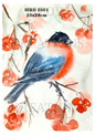 Decoupage Rice Paper – BIRD 2001
